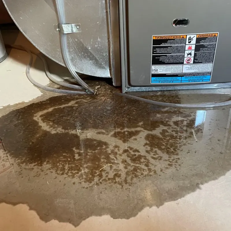 Pipe Burst and Leak Restoration in Saint Bernard, OH
