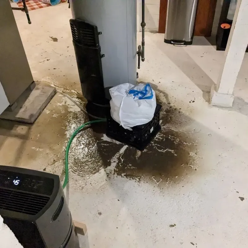 Sewage Backup Cleanup Service in Saint Bernard, OH